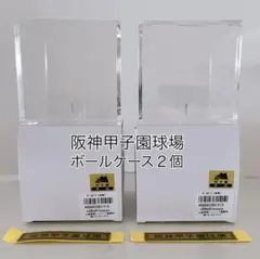 阪神甲子園球場　甲子園　ボールケース　ボール　ケース