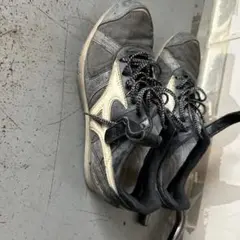 Item thumbnail for item 1d3e395e-287b-4177-b33d-0e861c3feafe