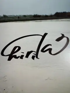 Item thumbnail for item 75a39f45-2c0b-48a2-a8ff-77a24d48be66