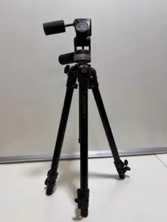 Item thumbnail for item 03ae1a7d-3db2-40e0-8196-5e4acec945f6