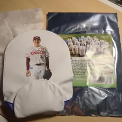 楽天イーグルス 渡辺翔太選手ゆらゆらプレイヤーズ