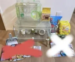 Item thumbnail for item 890b830e-4778-425a-aa45-ee1367ffd68f