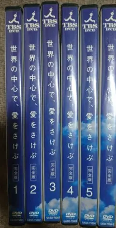 世界の中心で愛をさけぶ DVD 6枚組