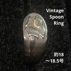Item thumbnail for item 79911fd6-45f6-4501-aa95-296aae6ee5bb