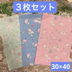 ３枚組★ランチョンマット★給食ナフキン★スワン