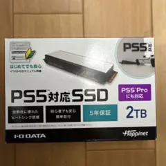 【新品未開封】M.2 拡張SSD  2TB HNSSD-2P5A