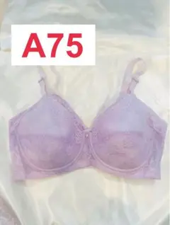 Item thumbnail for item f6876aae-5005-4846-aa28-a745dc71affb