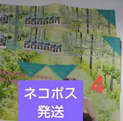 迅速発送　ミスマガジン　チェキ　応募券　4枚　ヤングマガジン