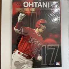 大谷翔平 ホームラン王獲得記念　プレミアムセット