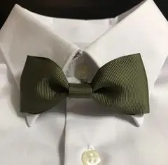 Item thumbnail for item 4b5c9a0c-3257-4941-be59-d50abea786e3