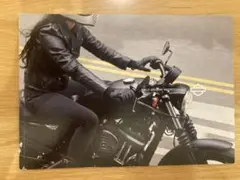 Harley Davidson 2020 カタログ
