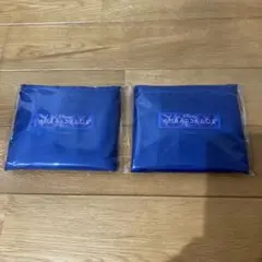 【新品未使用】ディズニー　アンバサダーホテル　エコバッグ　２セット