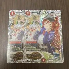 【即日発送】バジュラズテラ2枚
