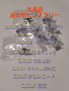 Item thumbnail for item 960372ce-d3bb-4005-a57d-657819a720a7