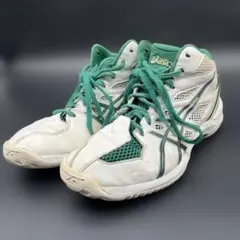 asics GELHOOP バスケットシューズ 25.0cm