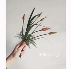 Kさま専用