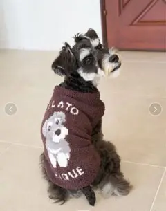 Item thumbnail for item 53662e73-8d8a-4b88-9a19-fc20cbd9be9d