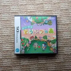 【箱・説明書あり】おいでよ どうぶつの森 ニンテンドーDS
