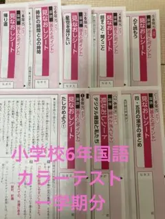 最新版！小６社会答え見なおしシート教育出版 青葉出版カラーテスト 小学校 6年 社会 カラーテスト 解答 教育同人社 青葉出版 - メルカリ
