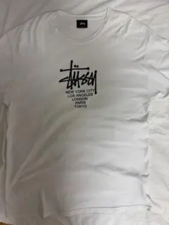Stüssy Tシャツ Lサイズ