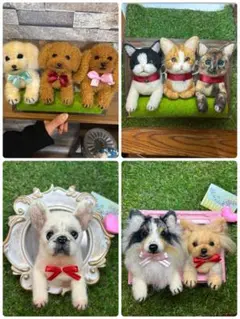 Item thumbnail for item ddad2fd0-bbef-4a24-87e7-6d1b5a0515e1