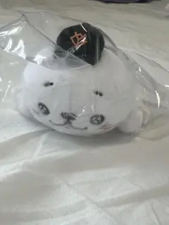 Item thumbnail for item 4362d0ae-7e3f-49c0-9618-d8ff1f411d73