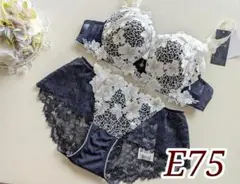 ✴︎E75 ワコール サルート 店舗限定89G 平安絵巻 あさきゆめみし ブラ単品 Amazon.co.jp: サルート salute 店舗 D65 ソング Tバック M 89