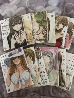 【自宅保管品】クロスアンドクライム　葉月京　全巻セット　12冊