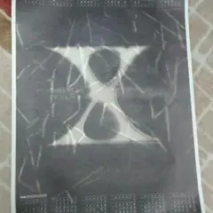 X JAPAN1994カレンダー　ポスター Amazon.co.jp: hide, X JAPAN, カレンダー, バンダナ, ボトル