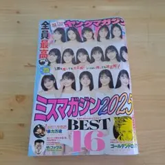 ヤングマガジン 2025年6月2日号 No.25