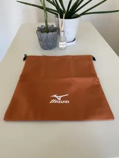 未使用品　ミズノ　ナップザック