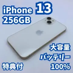 Item thumbnail for item 9c581492-c514-45c1-af9d-73bc2c3abc2c