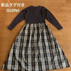 Item thumbnail for item e3439ded-ffbf-4acc-b775-25814814678c