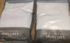 Item thumbnail for item 040f72a0-300e-4877-a105-af508b7eecb8