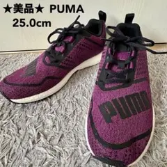 【美品】PUMA プーマ スニーカー ランニングシューズ 紫 25.0cm