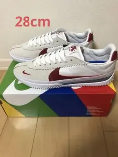 28cm NIKE SB BRSB
