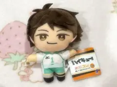 ハイキュー 及川徹 みにコレ ぬいぐるみ