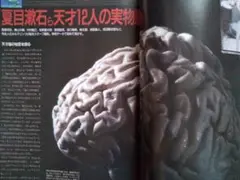 「ここまでわかった脳の不思議 脳力アップの最新科学」 匿名配送