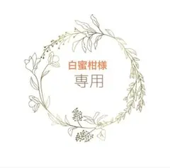 フード(同梱で発送します)