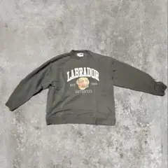 Labrador Retriever スウェット