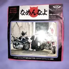 なめんなよ 7PL-1001 シンガー・ミニジング