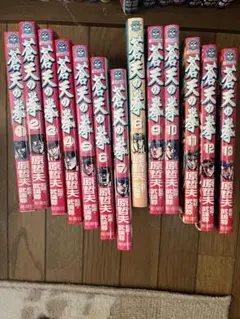 Item thumbnail for item a875f2b3-5a7e-4d5f-9277-93c4765b2d40