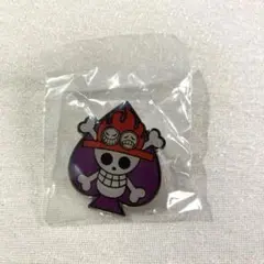 【新品】ワンピースデイ　エース　ピンバッジ　コレクション
