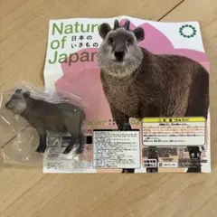 Item thumbnail for item 46ce9dc4-6f5d-43f4-bf2e-db7555ee1d0e