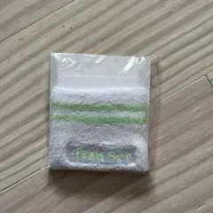 Item thumbnail for item f11c2dcc-24fc-43fa-a187-cc399a73d077
