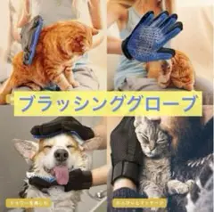 Item thumbnail for item 4243dc36-8454-4ae2-a42c-b4484db87ae5