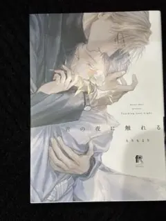 君の夜に触れる