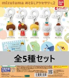 全5種コンプ mizutama めじるしアクセサリー2