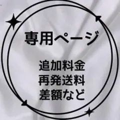 『別途追加料金』追加料金等の別途追加料金専用ページ　追加料金、再発送料[h230