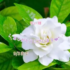 ちぃ 10日から帰省様 おまとめパーツ(˘͈ᵕ ˘͈ *)♡